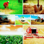 فروش انواع کودهای کشاورزی داخلی و وارداتی ارگانیک و بیولوژیک